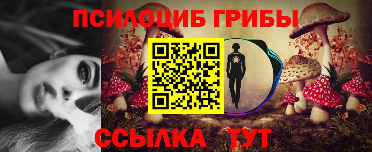 Красногорск  Галлюциногенные грибы мухоморы  Вход с VPN 